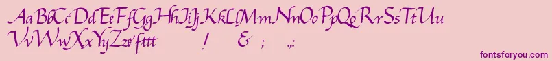 Gcursiv2 Font – Purple Fonts on Pink Background
