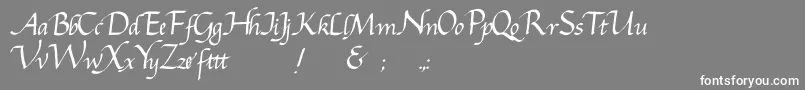 フォントGcursiv2 – 灰色の背景に白い文字