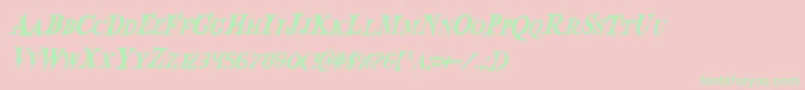 BloodCrowCondensedItalic Font – Green Fonts on Pink Background