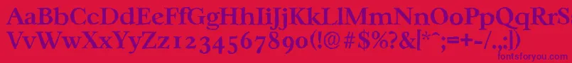 CasablancaantiqueBold Font – Purple Fonts on Red Background