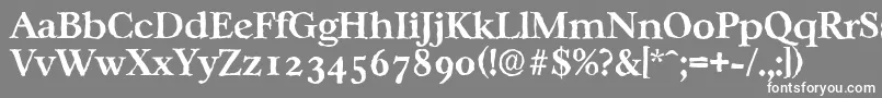 フォントCasablancaantiqueBold – 灰色の背景に白い文字