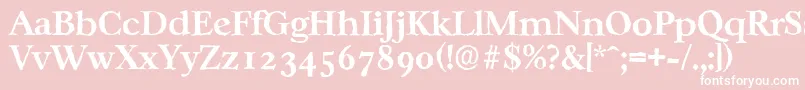 CasablancaantiqueBold Font – White Fonts on Pink Background