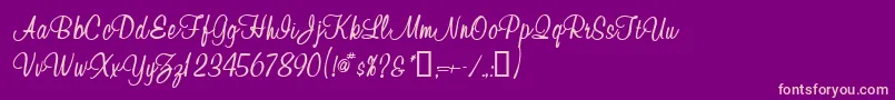 Waugh Font – Pink Fonts on Purple Background