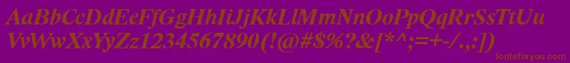 LidoStfCeBoldItalic Font – Brown Fonts on Purple Background