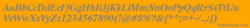 LidoStfCeBoldItalic Font – Gray Fonts on Orange Background