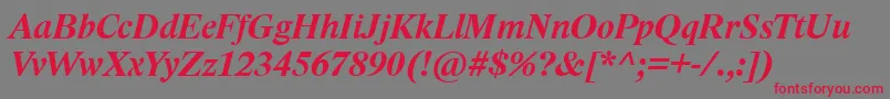 フォントLidoStfCeBoldItalic – 赤い文字の灰色の背景
