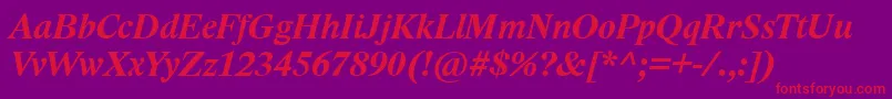LidoStfCeBoldItalic Font – Red Fonts on Purple Background