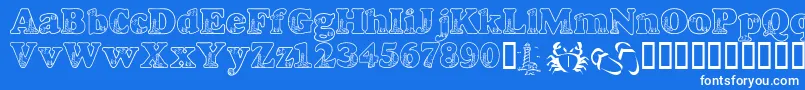 LmsBeachScrawl Font – White Fonts on Blue Background