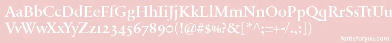 SabonnextLtDemiOldStyleFigures Font – White Fonts on Pink Background