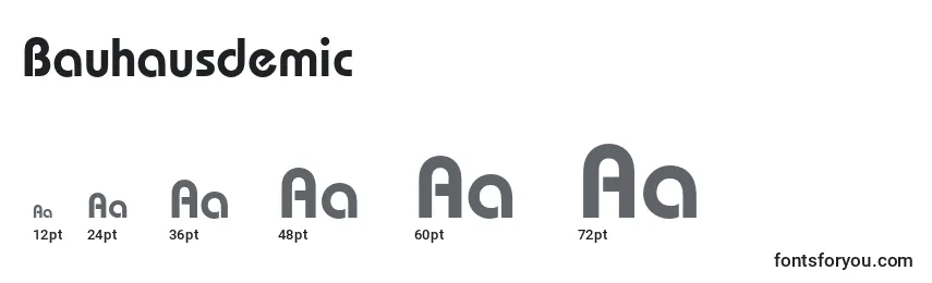 Bauhausdemic Font Sizes