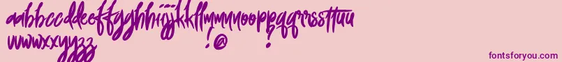 FoxingDemoVersion-Schriftart – Violette Schriften auf rosa Hintergrund