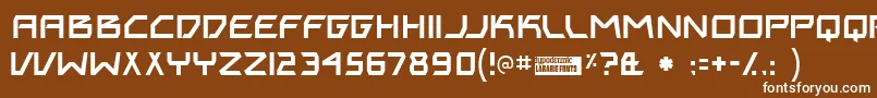 フォントBiting – 茶色の背景に白い文字