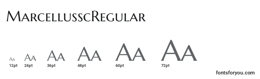 Размеры шрифта MarcellusscRegular