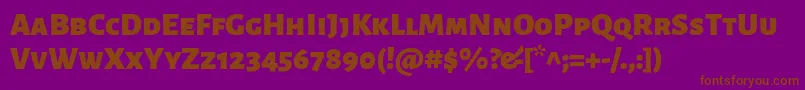 AlegreyasansscBlack Font – Brown Fonts on Purple Background