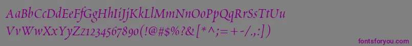 ScriptoriaSsi-fontti – violetit fontit harmaalla taustalla