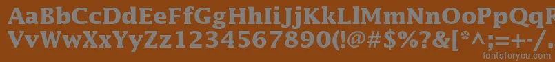 フォントLucidastdBold – 茶色の背景に灰色の文字