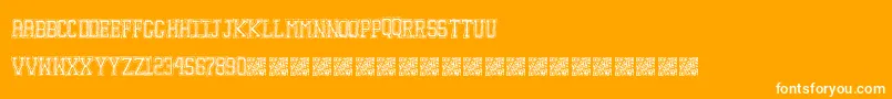 Education Font – White Fonts on Orange Background