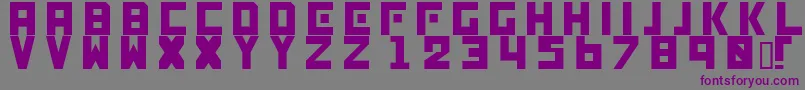 Genocide-fontti – violetit fontit harmaalla taustalla