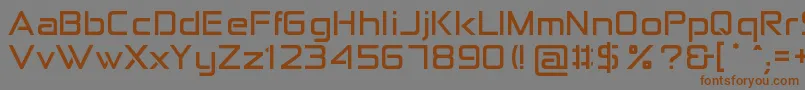 AnitaSemiSquare Font – Brown Fonts on Gray Background