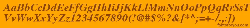 TimesTenCeBoldItalic Font – Brown Fonts on Orange Background