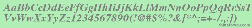 TimesTenCeBoldItalic Font – Gray Fonts on Green Background