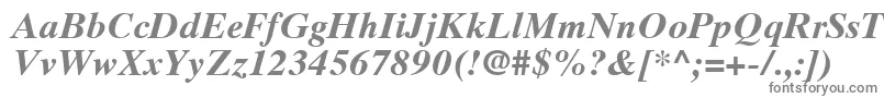 TimesTenCeBoldItalic-Schriftart – Graue Schriften
