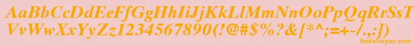 TimesTenCeBoldItalic Font – Orange Fonts on Pink Background