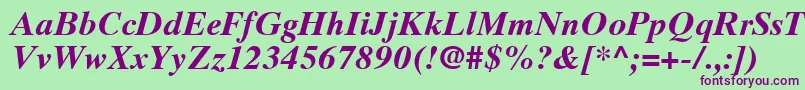 TimesTenCeBoldItalic Font – Purple Fonts on Green Background