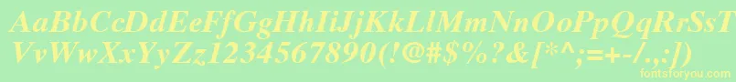TimesTenCeBoldItalic Font – Yellow Fonts on Green Background