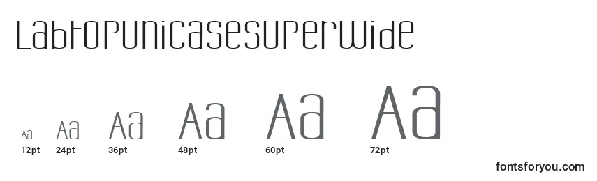 LabtopUnicaseSuperwide Font Sizes