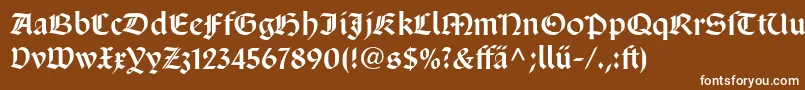 フォントSanMarcoLtDfr – 茶色の背景に白い文字