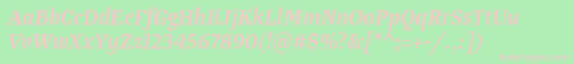 TangerserifnarrowSemibolditalic Font – Pink Fonts on Green Background