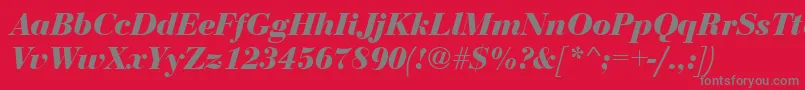 フォントBediniBoldItalic – 赤い背景に灰色の文字