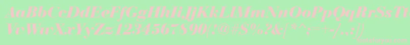 BediniBoldItalic Font – Pink Fonts on Green Background