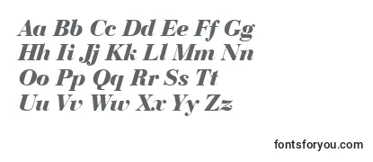 BediniBoldItalic Font