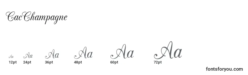 CacChampagne Font Sizes