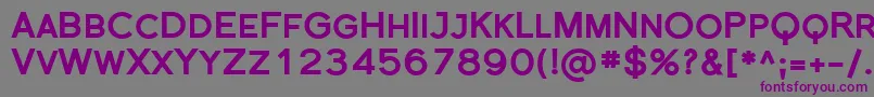 Sfflorencesansscblack Font – Purple Fonts on Gray Background