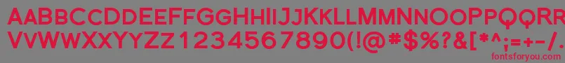 Sfflorencesansscblack Font – Red Fonts on Gray Background