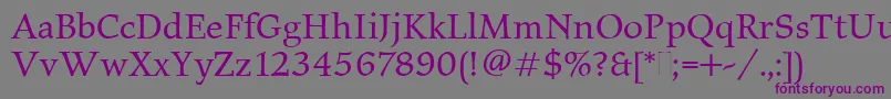 ElysiumBookPlain-Schriftart – Violette Schriften auf grauem Hintergrund