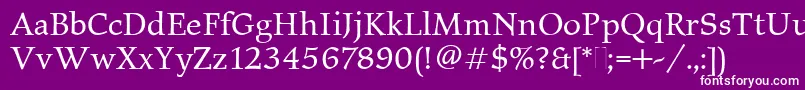 ElysiumBookPlain Font – White Fonts on Purple Background