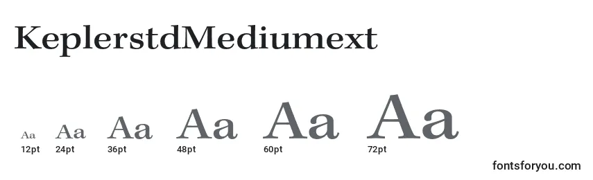 Размеры шрифта KeplerstdMediumext