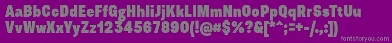 フォントAsketCondensedExtrabold – 紫の背景に灰色の文字