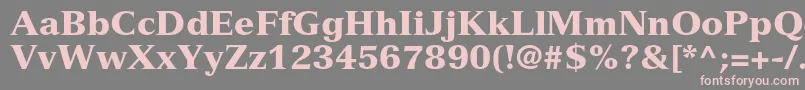 VersaillesltstdBlack Font – Pink Fonts on Gray Background