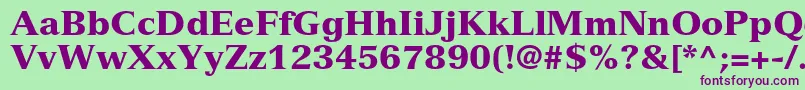 VersaillesltstdBlack Font – Purple Fonts on Green Background