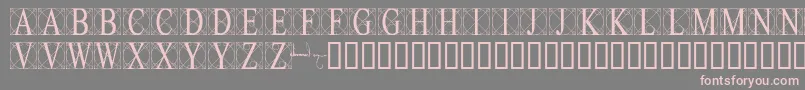 Leonardo Font – Pink Fonts on Gray Background