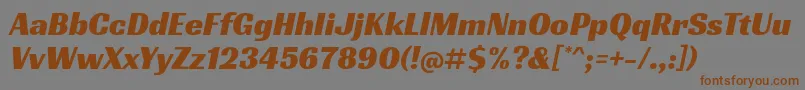 RacingsansoneRegular Font – Brown Fonts on Gray Background