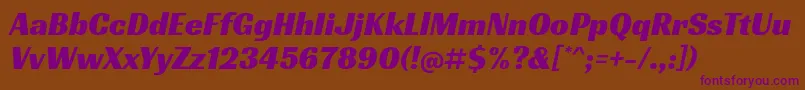 RacingsansoneRegular Font – Purple Fonts on Brown Background