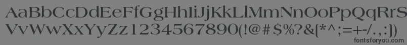 LagunacBold Font – Black Fonts on Gray Background
