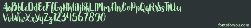 Шрифт Roomfer – зелёные шрифты на чёрном фоне