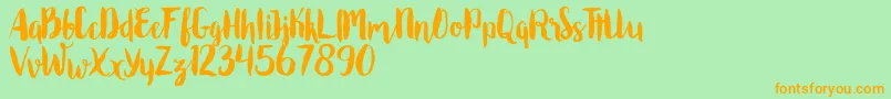 Roomfer Font – Orange Fonts on Green Background